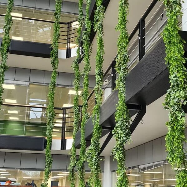 AGL Vistafolia Texture Boxes